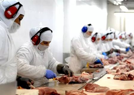 Exportações industriais de MS recuperam queda causada por Covid-19 e fecham em alta de 5%