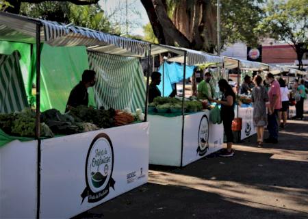 Com o Pro-Orgânico, agricultores podem vender produtos com certificação ao consumidor