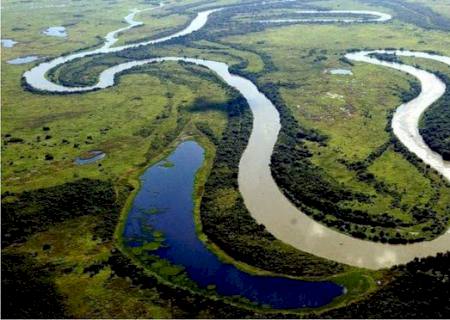 Lei sancionada pelo governador define 12 de novembro como Dia do Pantanal