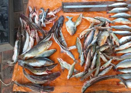 Polícia Ambiental autua turistas mineiros por capturar pescado acima da cota