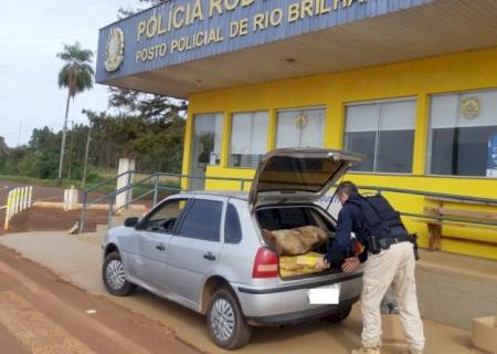 PRF em Rio Brilhante intercepta drogas que seguiam para Mato Grosso