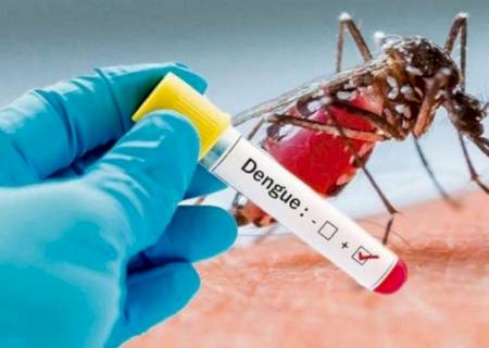 MS chega a 39 mortes por dengue e notificações passam de 62 mil