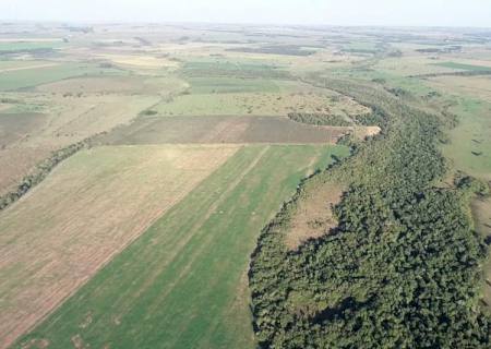 Fazendeiro é autuado em R$ 412,5 mil por desmatamento ilegal de vegetação do bioma Mata Atlântica
