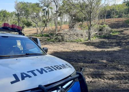 Arrendatário é autuado em R$ 269 mil por desmatamento ilegal de vegetação protegida
