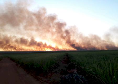 Usina sucroenergética é multa em R$ 294 mil por incêndio de 294 hectares de lavoura de cana-de-açúcar
