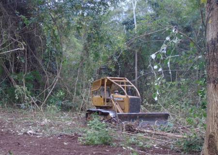 Polícia Ambiental flagra máquina de esteira realizando desmatamento ilegal