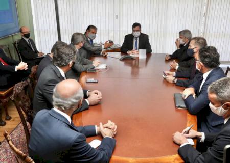 Presidente da Biosul e senador pedem a ministro defesa do setor sucroenergético nacional