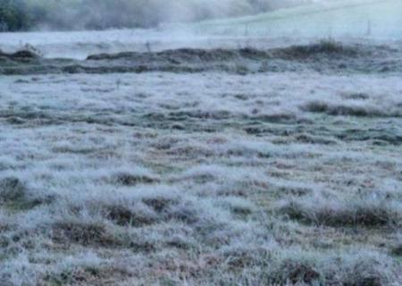 Frio de até 2°C e geada em Mato Grosso do Sul, exigem cuidados com a saúde