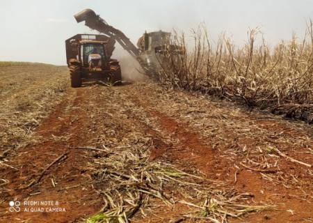 Usina sucroenergética é multada em R$ 155 mil por incêndio em canavial