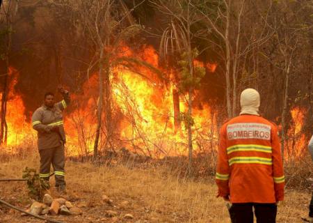 Combate às queimadas no MS ganha reforço de mais 120 brigadistas e bombeiros