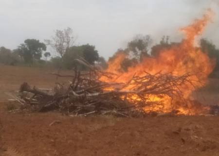 Proprietário rural é multado em R$ 3 mil por queimar vegetação em MS