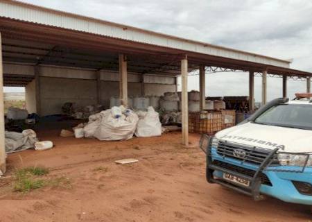 PMA de Naviraí aplica multa de R$ 12 mil por crime ambiental
