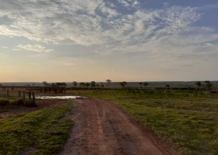 Homem que ameaçava ex-companheira é preso em fazenda de Ribas do Rio Pardo