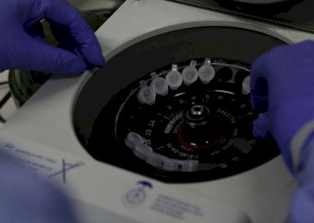 Coronavírus: cientistas britânicos começam a testar vacina em ratos