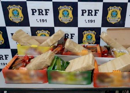 PRF apreende 8,3 quilos de cocaína com estrangeiros na BR-262