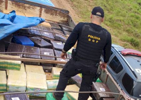Em Amambai, DOF apreende mais de 8 ton de maconha
