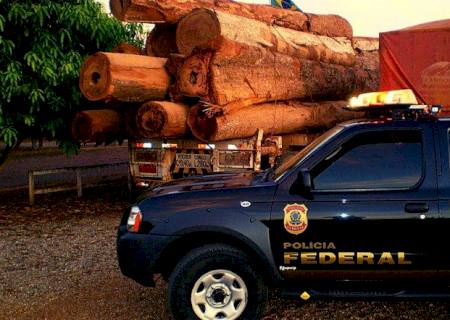 Polícia Federal faz apreensão histórica de madeira na divisa dos estados do Pará e do Amazonas