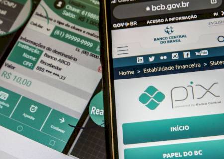 Empregadores domésticos agora podem pagar DAE também por meio do Pix