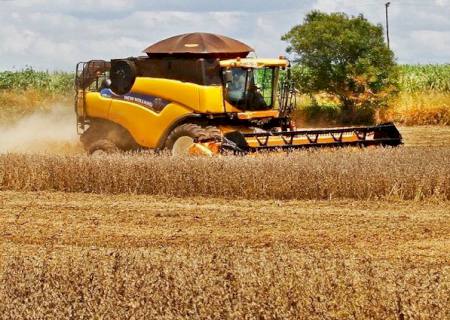 Com quase 10% colhida e ajuste para menor na área, safra da soja deve ultrapassar 11,2 milhões de toneladas