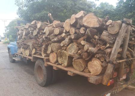 Fazendeiro é multado em R$ 5 mil por exploração ilegal de madeira em Bela Vista