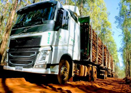 Eldorado Brasil abre novas vagas para motoristas em MS