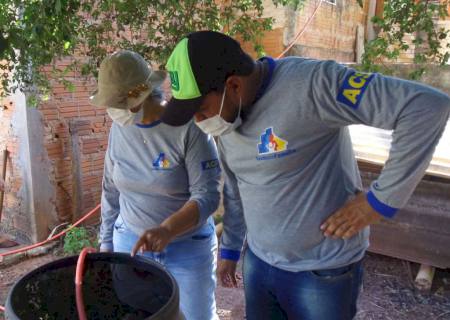 Ações integradas mantêm Batayporã com baixa incidência de dengue