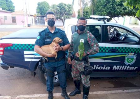 Mulher é multada em R$ 9 mil, após filho gravar e divulgar vídeo maltratando cadela e papagaio
