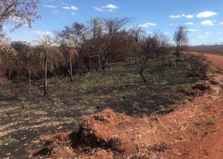 Polícia Ambiental autua usina sucroenergética devido a incêndio em matas protegidas em Angélica