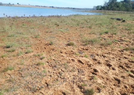 PMA de Três Lagoas autua paulista em R$ 50 mil por desmatamento ilegal de vegetação