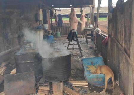 Vídeo: Polícia Civil deflagra ''Operação Missão Cumprida'' em Ponta Porã contra crimes ambientais