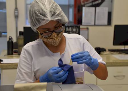 MS sobe para 3ª colocação no ranking nacional de maiores estados produtores do setor de celulose e papel