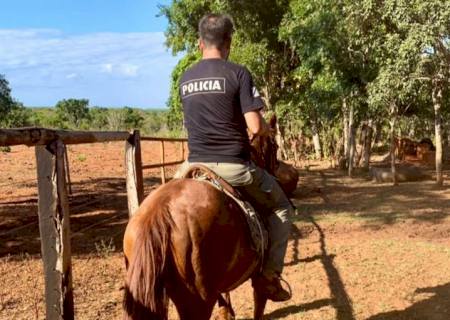 Operação Missão Cumprida II prende suspeitos de furto de gados e baterias em Chapadão do Sul