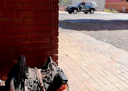 Jovem é preso por suspeita de tentativa de homicídio após agredir colega de trabalho