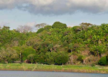 Fundo JBS pela Amazônia aprova os 6 primeiros projetos que receberão investimento de R$ 50 milhões