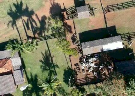 Operação de combate abigeato prende três pessoas Aparecida do Taboado