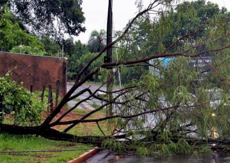 Defesa Civil alerta para perigo potencial de vendaval em MS