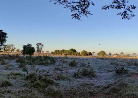 Vídeo: Moradores registram geada em Nova Andradina