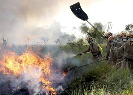 Estiagem e Incêndios: Governo decreta situação de emergência em todo o estado de MS