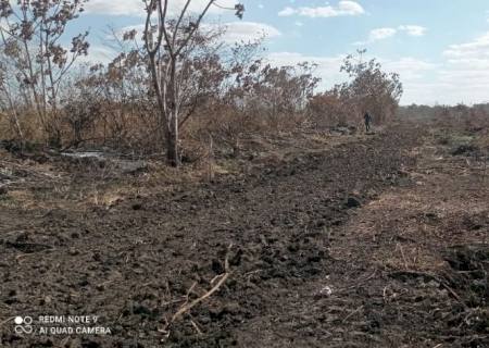 Vídeo: Polícia Ambiental controla incêndio e multa fazendeiro em R$ 70 mil em Bela Vista
