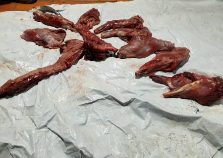 Homem é preso e multado em R$ 5,5 mil por transporte de carne de porco do mato
