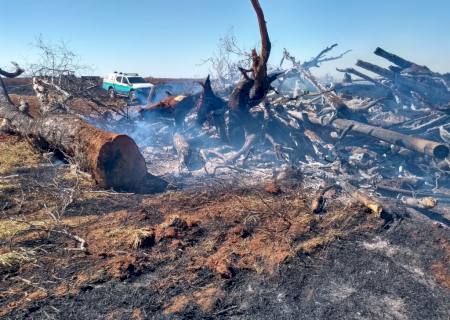 Proprietário rural é multado em R$ 27 mil por incêndio em leiras oriundas de supressão vegetal