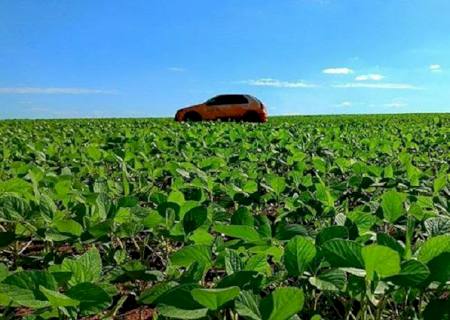 Safra de soja avança com 90% das lavouras em boas condições e mais da metade já comercializada