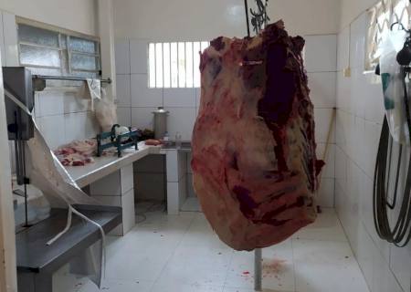 Ação conjunta apreende uma tonelada de carnes provenientes de abate clandestino