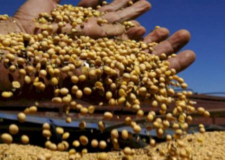 IBGE prevê safra recorde de 258,5 milhões de toneladas em 2021