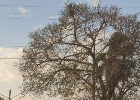 Chuva retorna ao MS nesta quarta-feira e muda o tempo nos próximos dias
