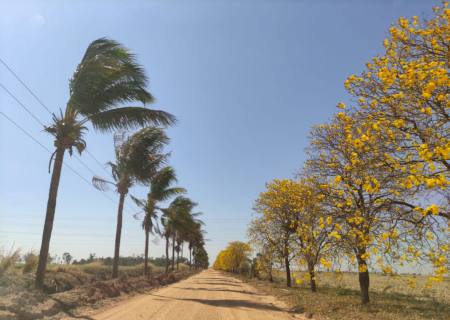 Frente fria traz esperança de chuva e refresco nas temperaturas a partir do meio da semana