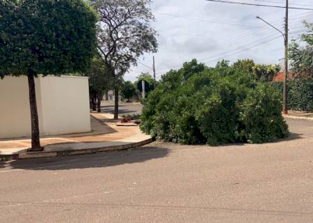 Temporal deixa moradores sem energia elétrica, água e internet em Nova Andradina