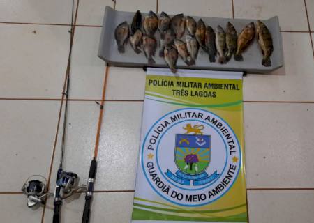 Pescadores paulistas são autuados por pesca predatória no rio Paraná