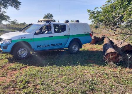 Polícia Ambiental autua infrator por exploração de madeira em área de floresta protegida