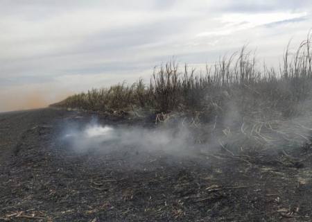 Em Rio Brilhante, empresa paulista é multada em R$ 1,47 milhão por incêndio em canavial